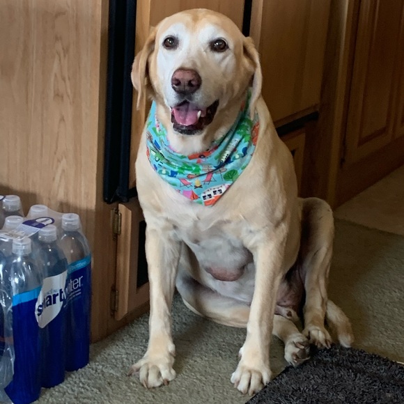 Meet your Posher, Heidi - Picture 8 of 9